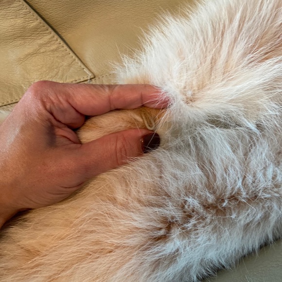 Genuine Ivory Leather & Fox Fur Jacket - Picture 10 of 15